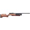 Benjamin Kratos .25cal PCP Powered Multi-Shot Pellet Air Rifle