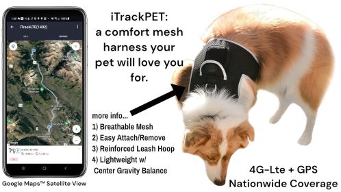 Global Range GSM GPRS Small Dog GPS Tracker Realtime Location Finder Size:XXL