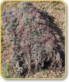 Ghillie Blanket cover 4' x 6'| Color (Option: Mossy)